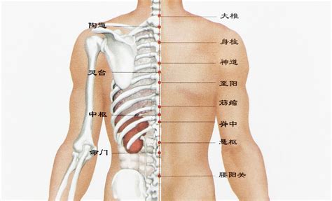 尾椎有痣|女人后背上长痣好吗？